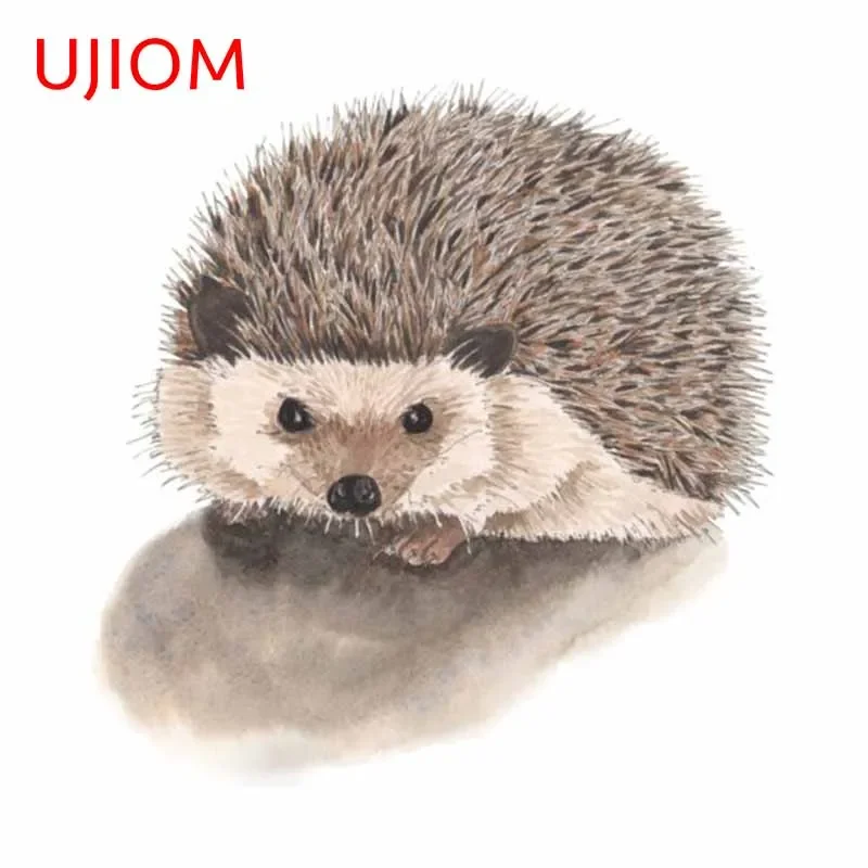 Baby Nursery Vinyl Wall Stickers - UJIOM 13cm komik kirpi sevimli duvar
